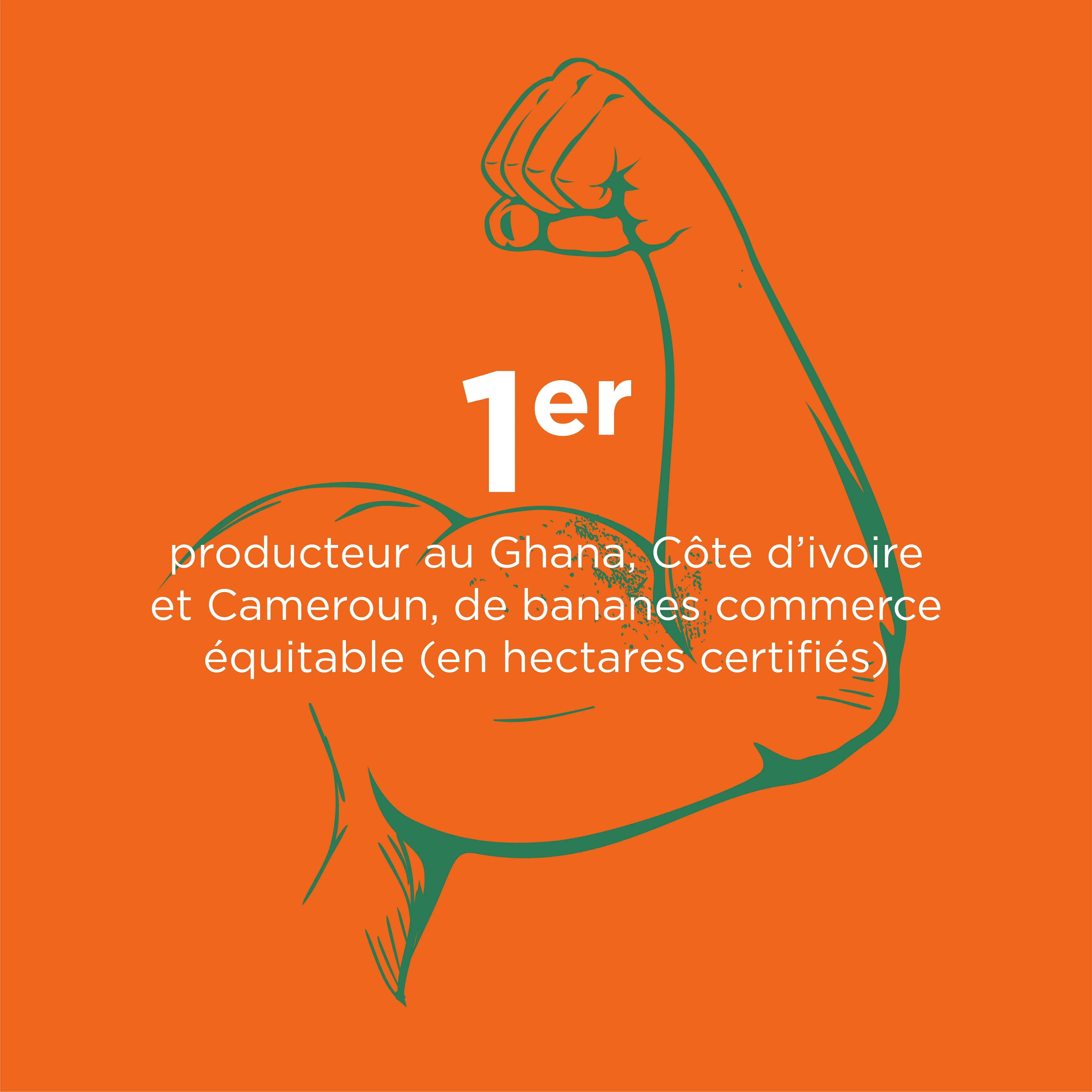 1er producteur