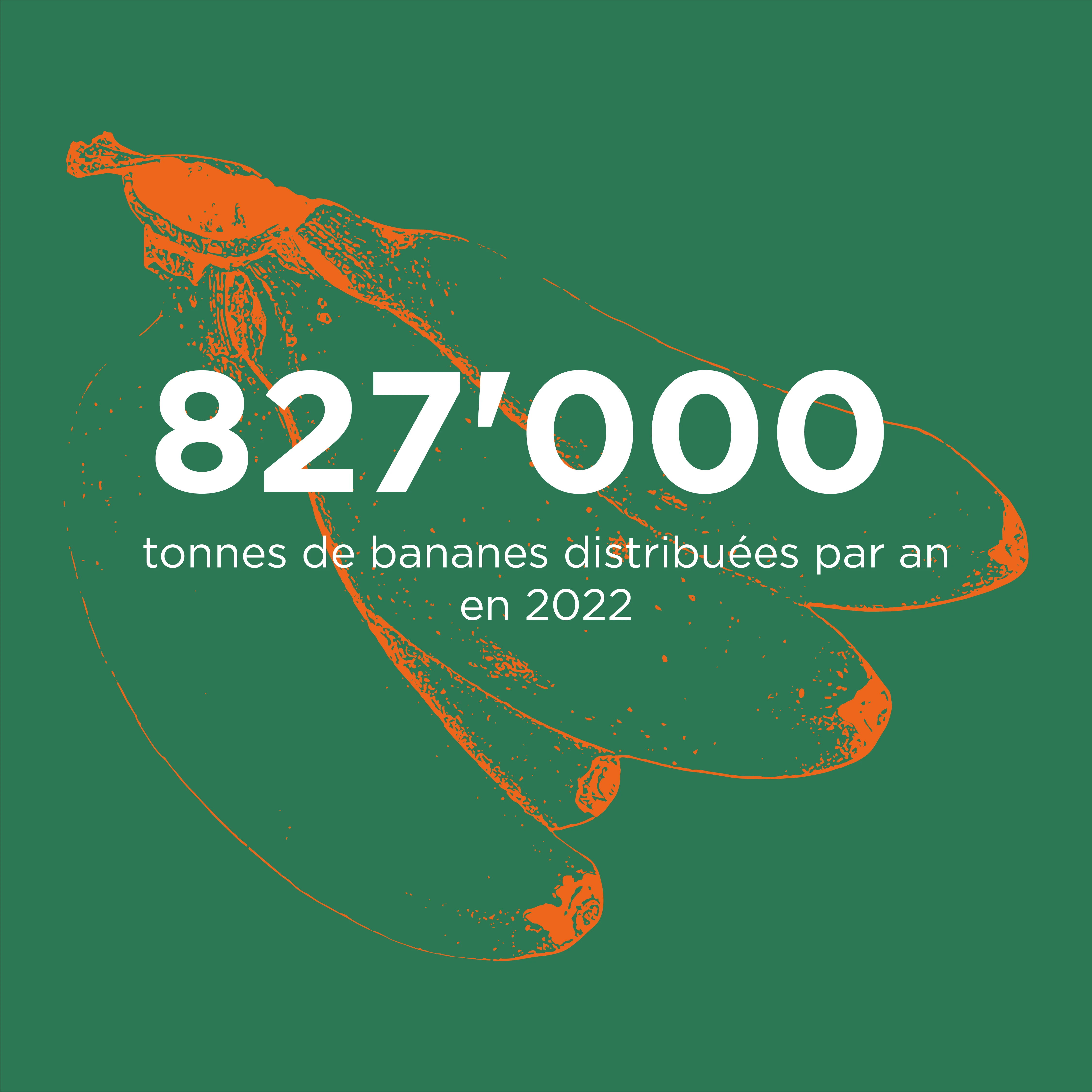 Tonnes de bananes distribuées