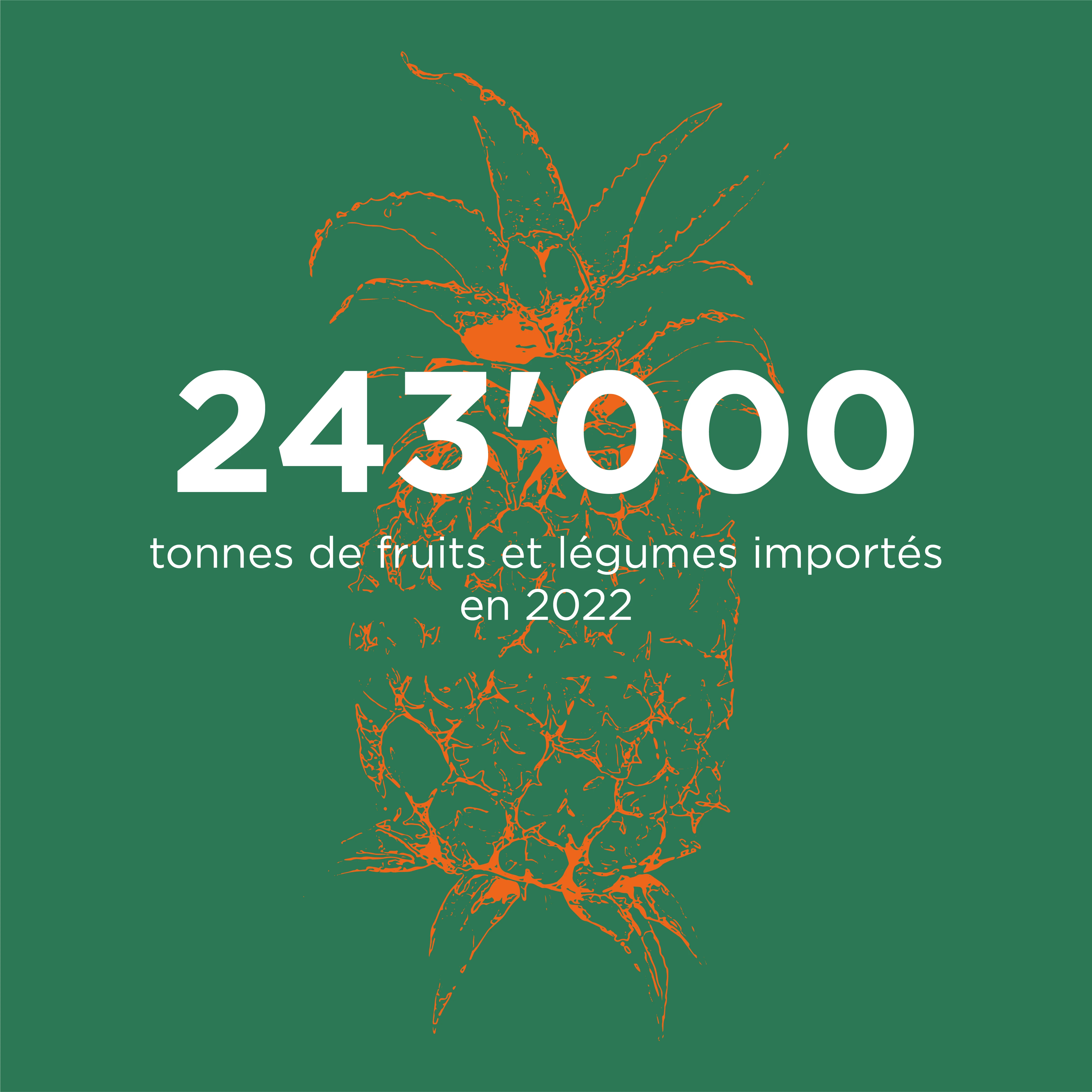 Tonnes de fruits et légumes importés
